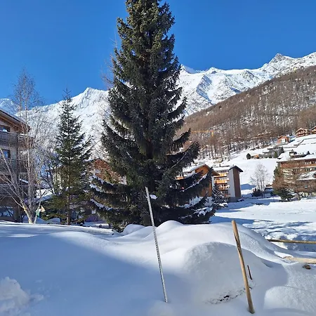 Apartment Silberdistel Eg Saas-Fee