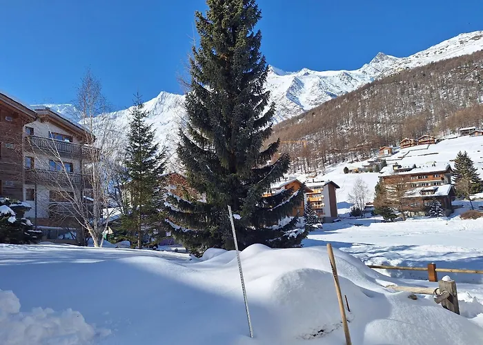 公寓 Silberdistel Eg 萨斯费